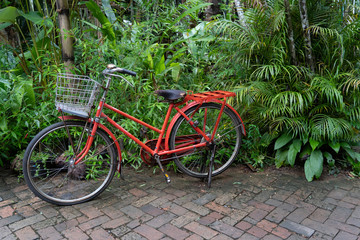 Fototapeta na wymiar Old red bicycle in garden