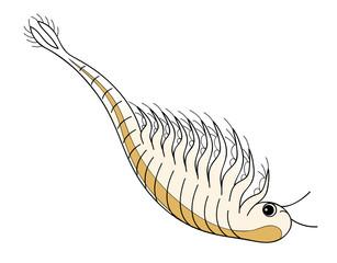 アルテミア シーモンキー ホウネンエビ キャラクター イラスト