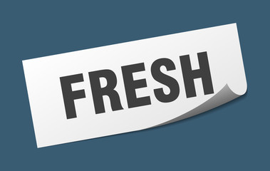 fresh sticker. fresh square isolated sign. fresh