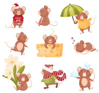 Set of images of cute mice. Vector illustration on white background.