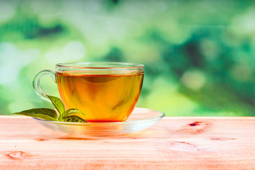 herbal tea bag and green background