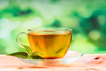herbal tea bag and green background