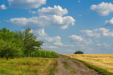 The road to the field. The sky with clouds. Summer sunny day.