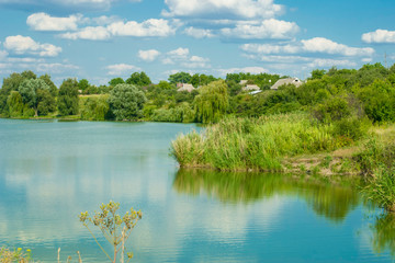 Lake with reeds. Pond with ducks. Summer sunny day