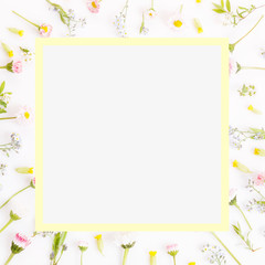 Festive flowers frame, composition on white background. Overhead top view, flat lay, square. Copy space.