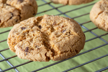 Homemade cookies biscuits, with chocolate chips, on a metal cooling rack, with a green tablecloth underneath