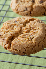 Homemade cookies biscuits, with chocolate chips, on a metal cooling rack, with a green tablecloth underneath
