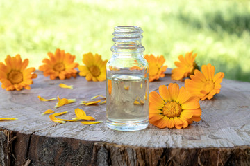 Aromatherapy essential oil with calendula flowers on a wooden background in nature. Extract of tincture of calendula.