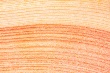cross section of various patterned trees