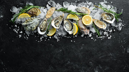 Oyster with lemon on ice. Seafood. Top view. On a black background. Free copy space.