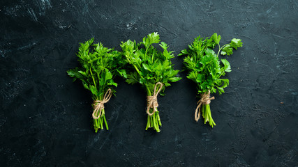 Green parsley on a black stone background. Top view. Free space for your text.