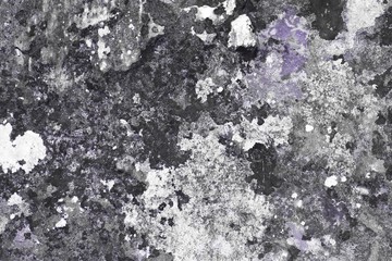 purple vintage striped lichen on castle wall texture - cute abstract photo background