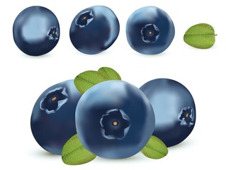 Forest berry. 3d realistic blueberry on white background. Icons blueberry close up. Vector illustration.