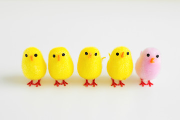 Four yellow baby chicken toys and one of pink color standing in line on white background. Diversity concept. Easter decoration