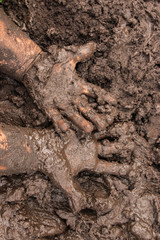 children's hands in the mud