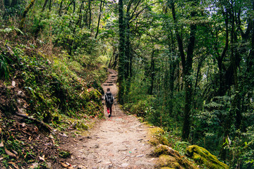 Hiking in Himalaya. Woman Traveler in the Mountains