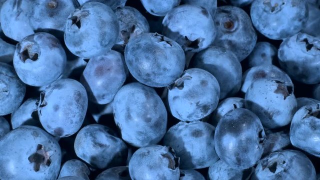  Detail of Blueberries. Macro Rotate of blueberries. Close-up, Camera rotation 360 degrees. Bog bilberry, bog blueberry, northern bilberry or western blueberry (Vaccinium uliginosum)