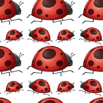 Seamless pattern tile cartoon with ladybug