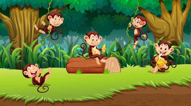 Monkey in jungle scene