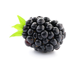 Ripe tasty blackberry on white background