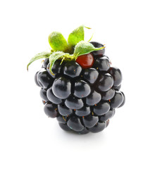 Ripe tasty blackberry on white background