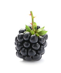 Ripe tasty blackberry on white background