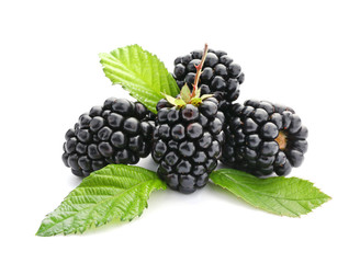 Ripe tasty blackberry on white background