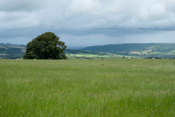 Peak District countryside England