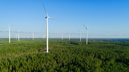 Wind power plant in the green field view and distant forest at summer evening