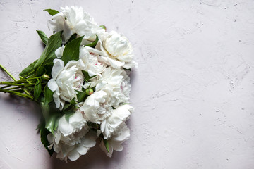 Beautiful peony flowers with copy space for your text top view and flat lay style.