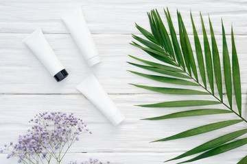 Body skin cream in a tube and a green leaf on a white wooden table background.