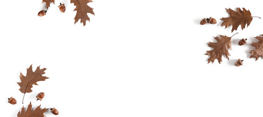 Autumn creative composition. Dried leaves oak on white background. Fall background. Flat lay, top view, copy space, banner © prime1001