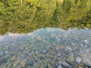 Reflection in the pond
