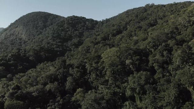 drone get close of dense rainforest