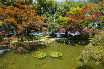 BELLAGIO, ITALY, JUNE 19, 2019 - View of Gardens of Villa Melzi in the village of Bellagio on Como lake, Italy