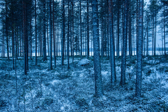 Winter landscape, Akaslompolo, Lapland, Finland