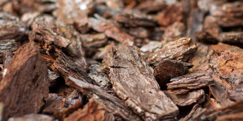 Fototapeta na wymiar Pine brown mulch bark banner for billboard for decorating flower beds close-up with green plants on background.
