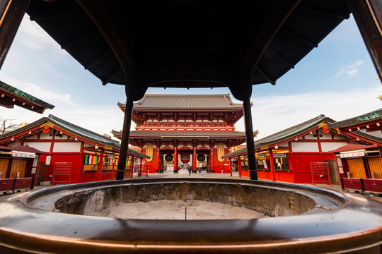 Sensoji Temple in Cherry blossom season, Tokyo, Japan