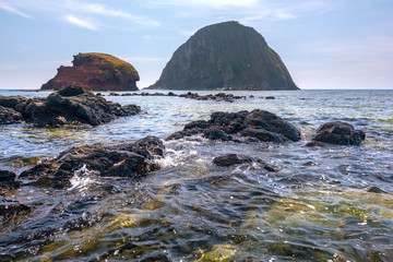 Obraz premium The volcanic rock or Giant Causeway near the canaries island has many beautiful coral reef underneath