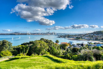 Auckland City Sunny Day