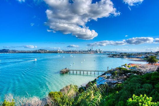 Auckland Sunny Day