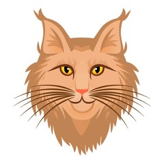 Cute head maine coon icon. Cartoon of cute head maine coon vector icon for web design isolated on white background