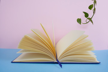  Colorful background with a notebook or books on a table and decorative objects.