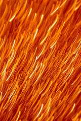 Orange dimic light lines background. Abstract wallpaper trend.