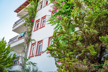 Fototapeta na wymiar hotel and pink flowers under the blue sky, antalya flowers, beautiful plants