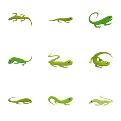 Lizard icon set. Cartoon set of 9 lizard vector icons for web design isolated on white background