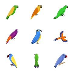 Obraz premium Colorful parrot icon set. Cartoon set of 9 colorful parrot vector icons for web design isolated on white background