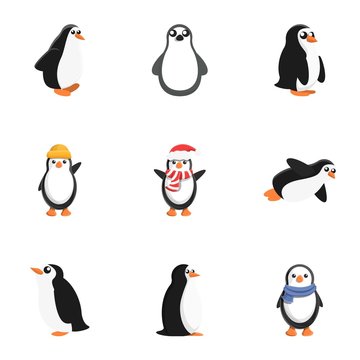 Penguin baby icon set. Cartoon set of 9 penguin baby vector icons for web design isolated on white background