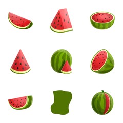 Tasty watermelon icon set. Cartoon set of 9 tasty watermelon vector icons for web design isolated on white background