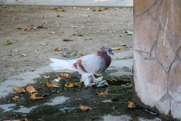 Viaje a Siguenza Castilla la Mancha
